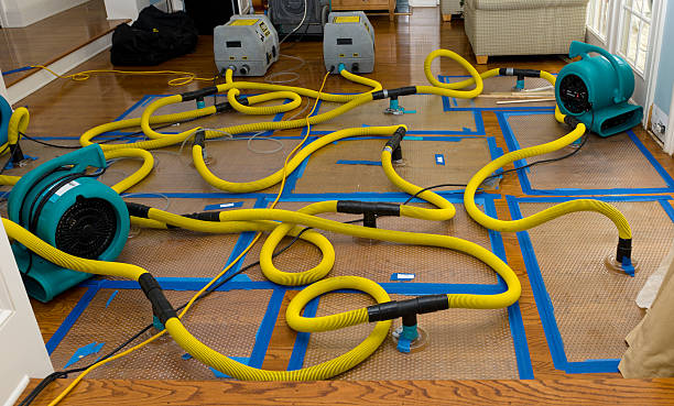 Professional Sewage Cleanup technician working in Porterville, CA